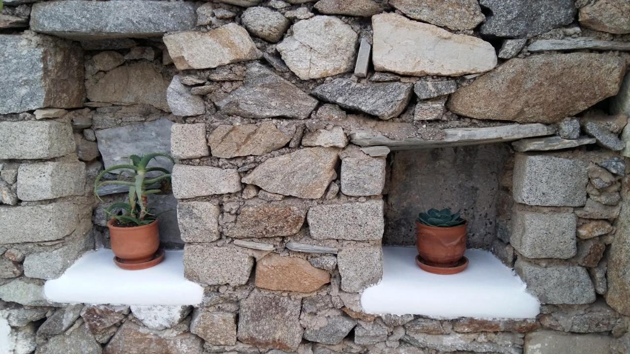 טורלוס Sunny Guest House New Port Mykonos מראה חיצוני תמונה